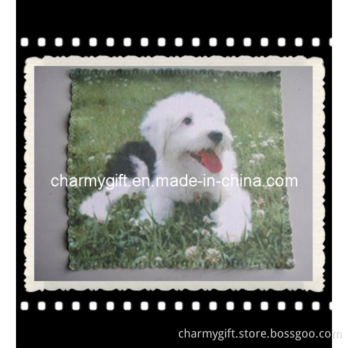 Glasses Cleaning Cloth-13